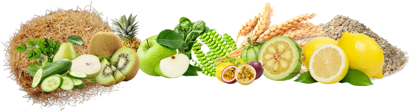 Fruit, vegetables, and plant ingredients
